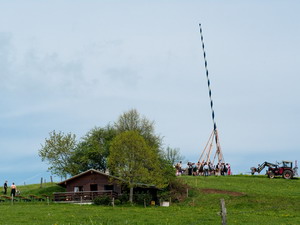 Maibaum aufstellen am Lindl in Weyarn