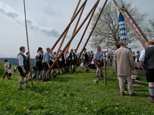 Maibaum aufstellen am Lindl in Weyarn