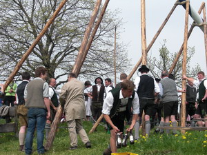 Maibaum aufstellen am Lindl in Weyarn