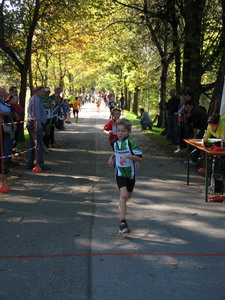 Volkslauf um den Seehamer See 2010