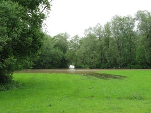 Leitzach-Hochwasser in Naring am 3. Juni 2010