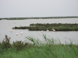 Bottsfahrt im Naturschutzgebiet