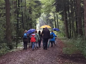 Spaziergang im Regen