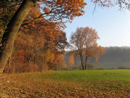 Wanderung rund um den Seehamer See - Bild:Weidl