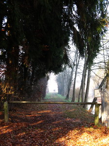 Auf der Wanderung rund um den See