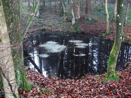 "Teife ria di!"  - Wanderung rund um den Seehamer See - Bild:Weidl