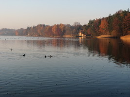 Wanderung rund um den Seehamer See - Bild:Weidl