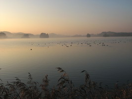 Wanderung rund um den Seehamer See - Bild:Weidl