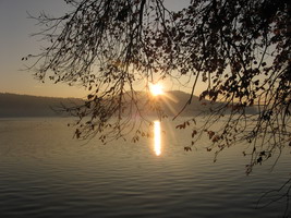 Wanderung rund um den Seehamer See - Bild:Weidl